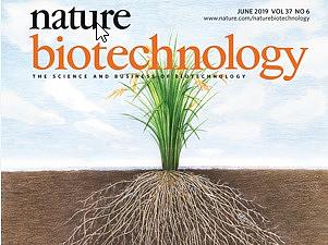 水稻根系協(xié)同微生物利用土壤氮元素養(yǎng)分圖（個(gè)人主頁(yè)-ZMzY1MDg1NjA=） - 繪畫(huà) - 站酷設(shè)計(jì)師尋山追水原創(chuàng)素材 - 站酷ZCOOL