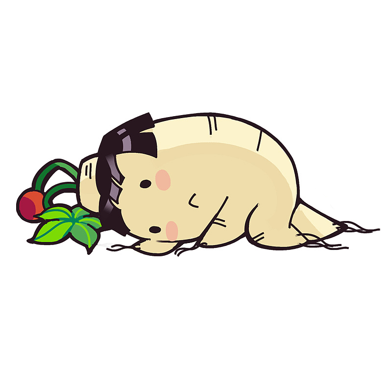 某微信公众号的外包,为其设计成员的人参拟人头像,代表他们不同的性格