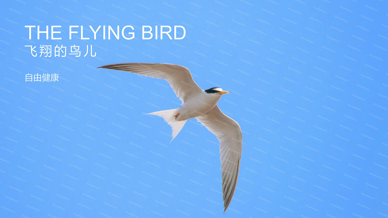 成都医药品牌策划设计\医疗logo\vi设计包装设计