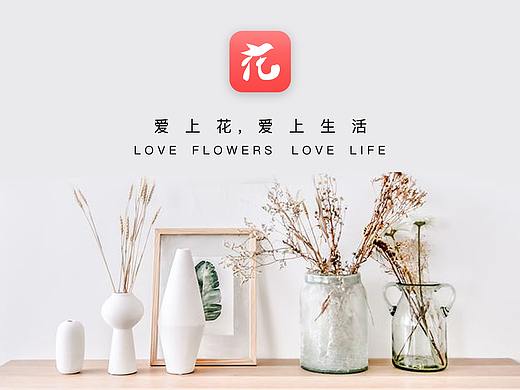 拾花_爱花 爱生活