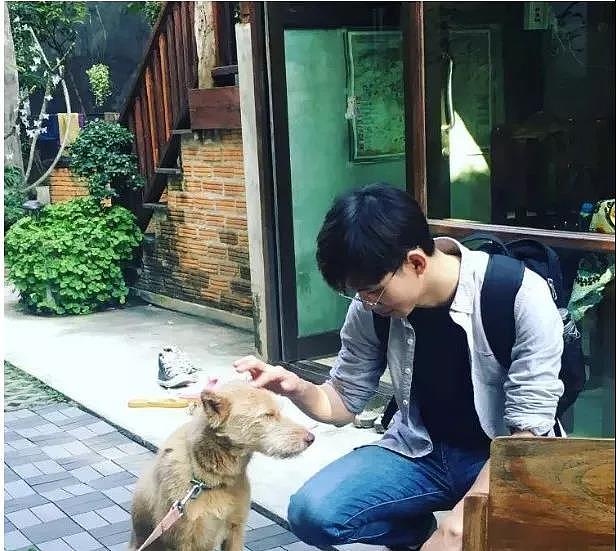 【美联致美】没有人可以成为你的模板:世界很美好,我依然爱你...