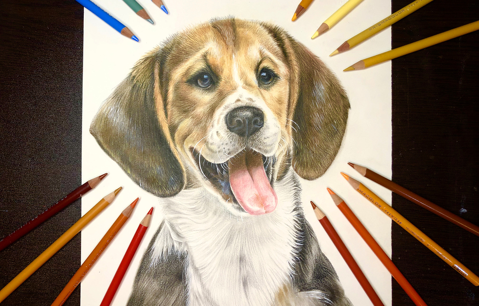 毛茸茸治愈——手绘可爱小动物