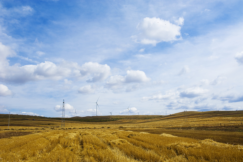 心中的金色草原