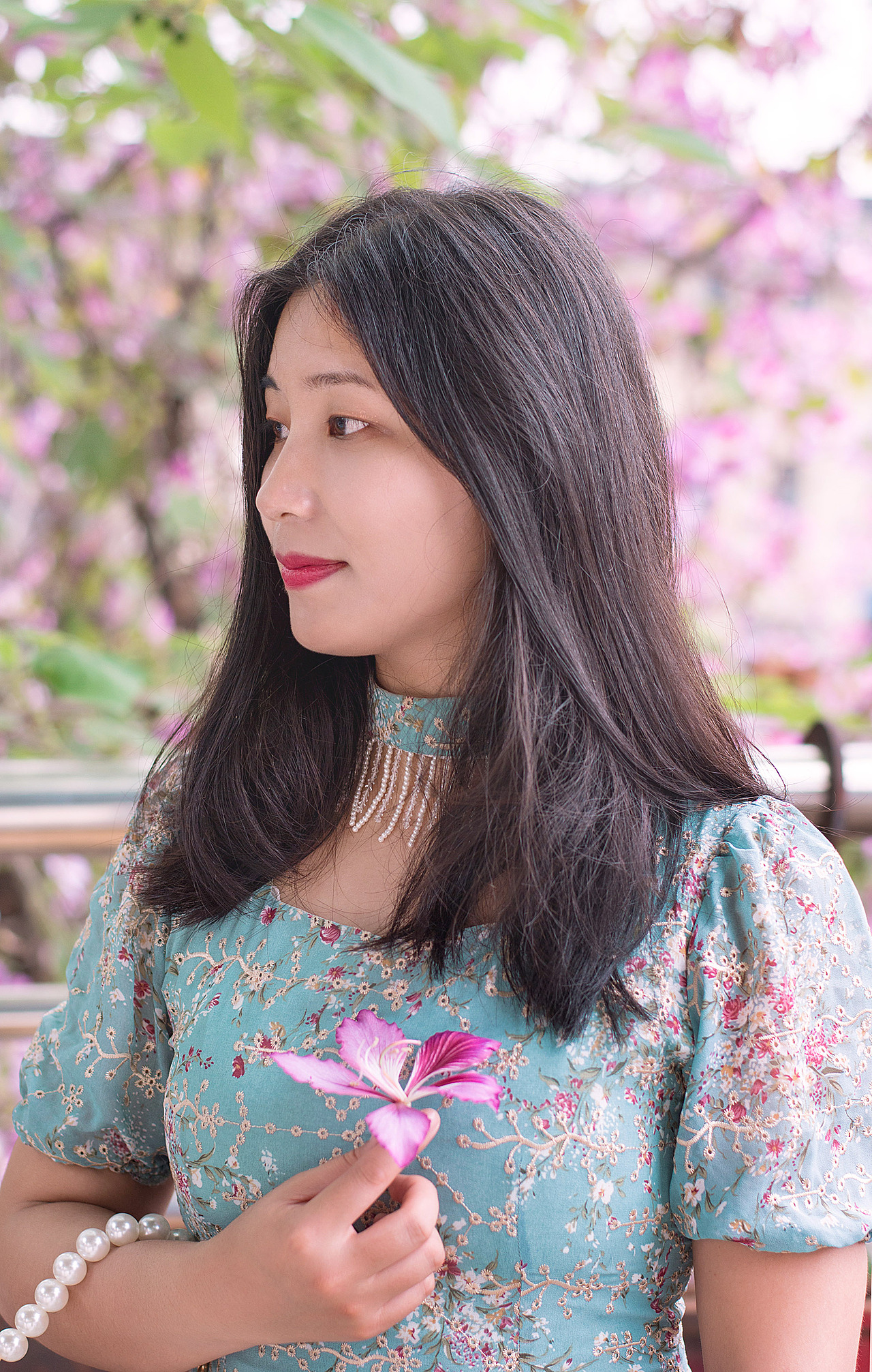 我们一起去水南路看紫荆花和你ヾ(*Ő