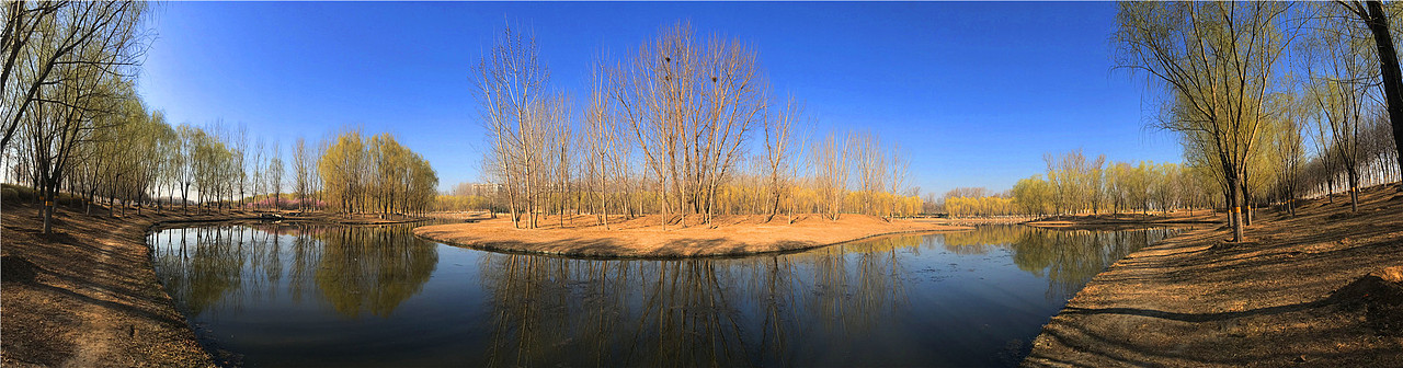 刘勇良手机纪实摄影:杨柳依依