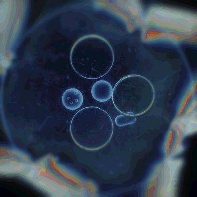 DISPERSION（图ZMTk2NjkwMTcy） - 动画/影视 - 站酷设计师JKingDesign原创素材 - 站酷ZCOOL