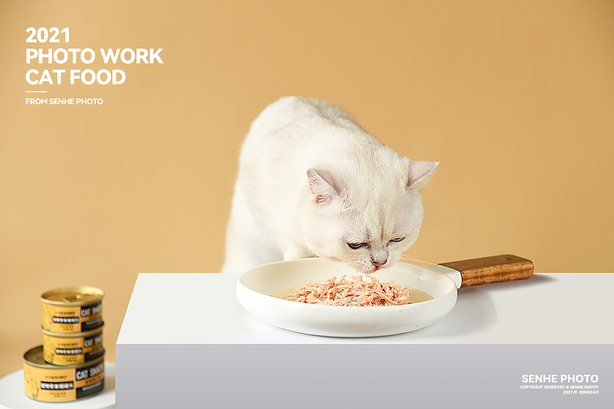 猫粮摄影 | 萌物饲养员品质宠物粮（图ZMjcwNjI5MDQw） - 产品摄影 - 站酷设计师森和视觉摄影原创素材 - 站酷ZCOOL