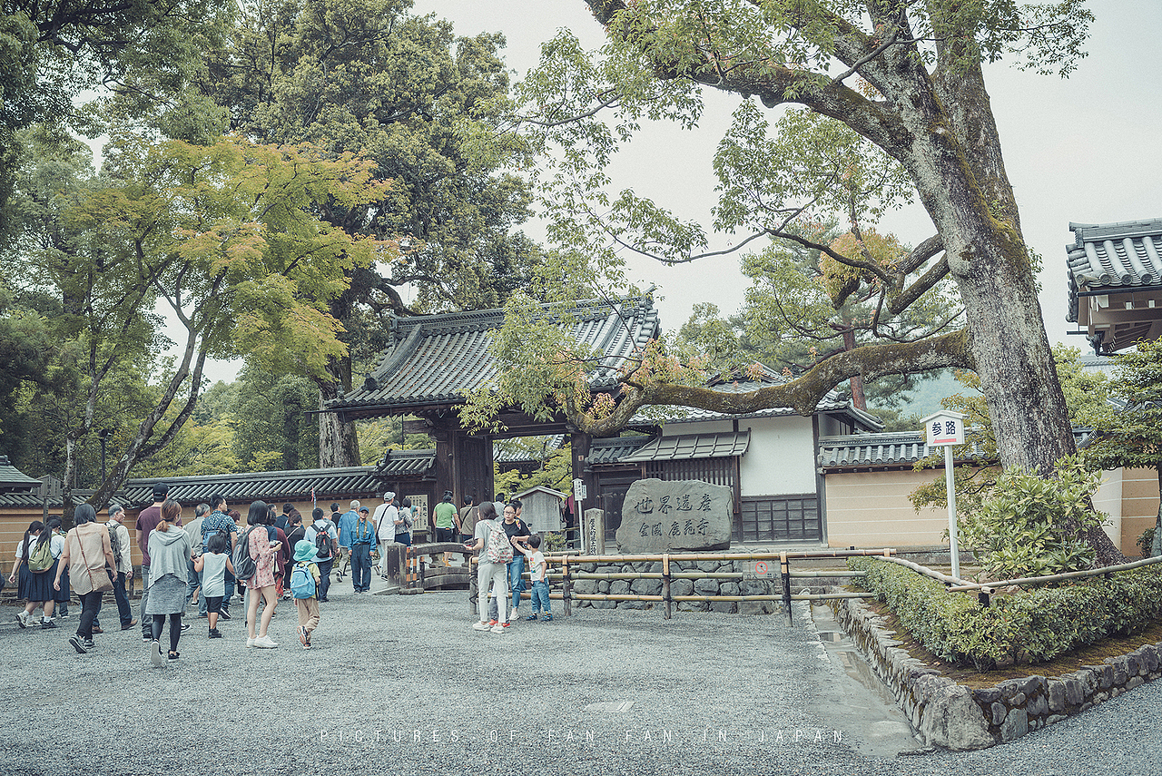 独自一人初涉日本,为期12天的自由行——京都篇(4)
