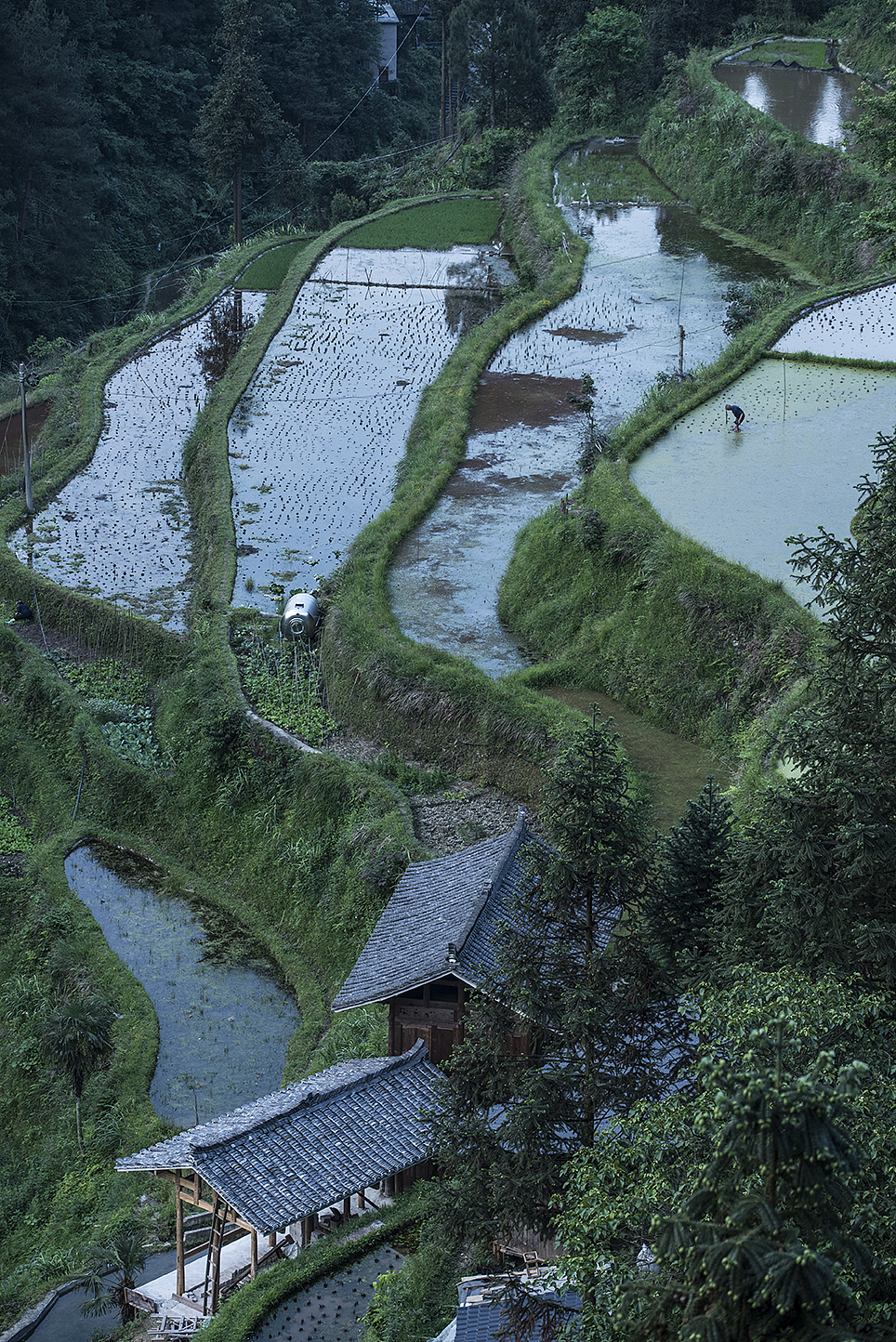 梯田（图ZMTU5MDUyMjI4） - 风光摄影 - 站酷设计师胡常德原创素材 - 站酷ZCOOL