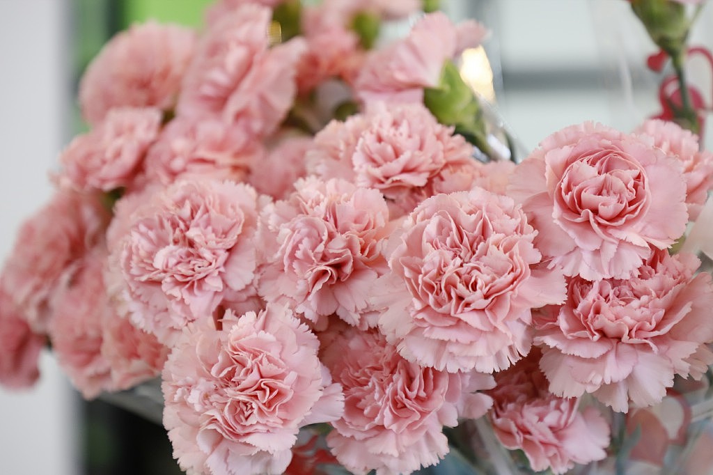 重庆站·创新思维—第十九期【新营销•创富大会】