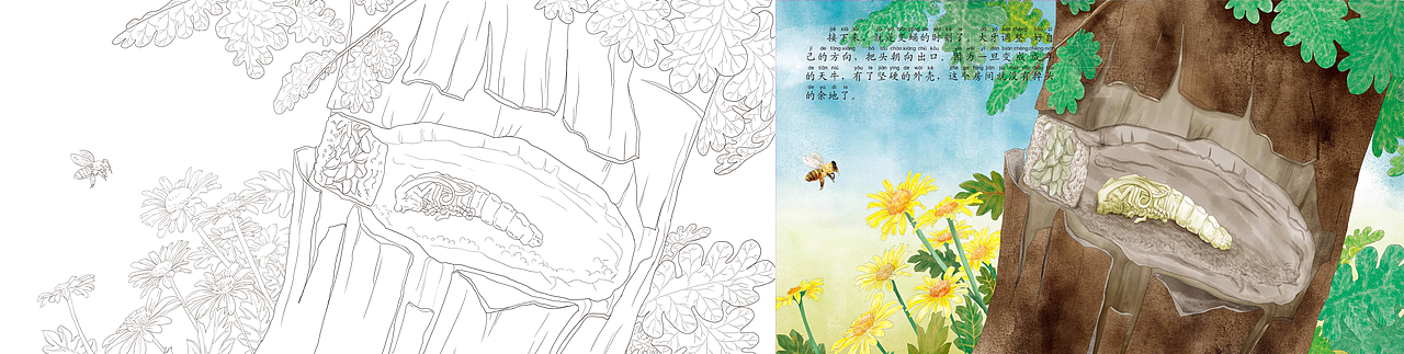 法布尔昆虫记——天牛"盔甲战神"