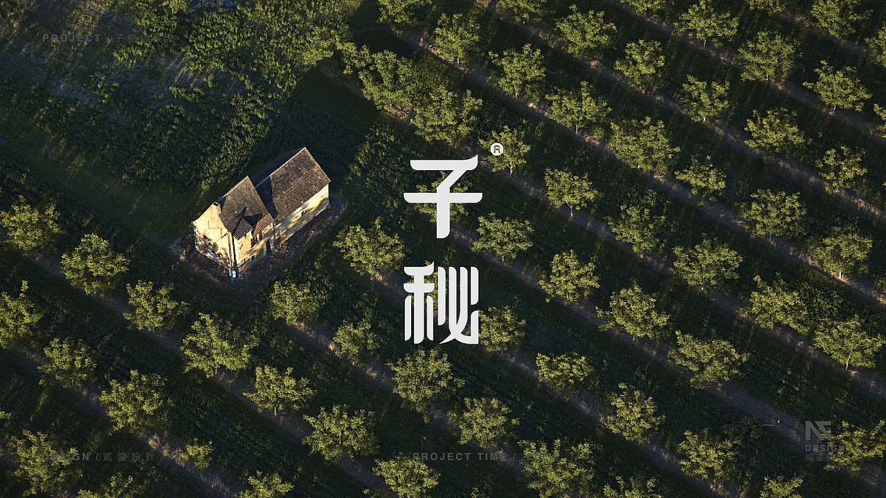 【源流设计FOUNTAIN案例】“子秘冷榨核桃油”包装设计