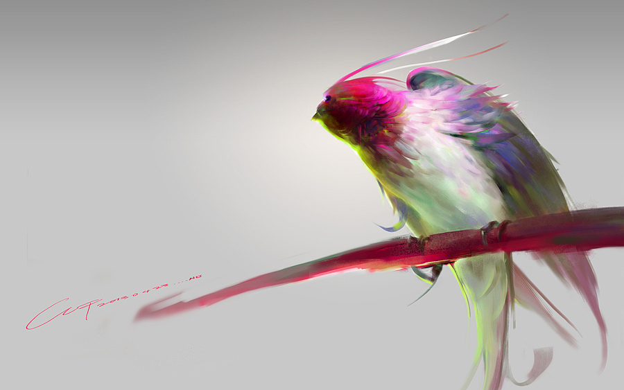 还是鸟（图ZOTIyMzYwNA==） - 商业插画 - 站酷设计师CLF0原创素材 - 站酷ZCOOL