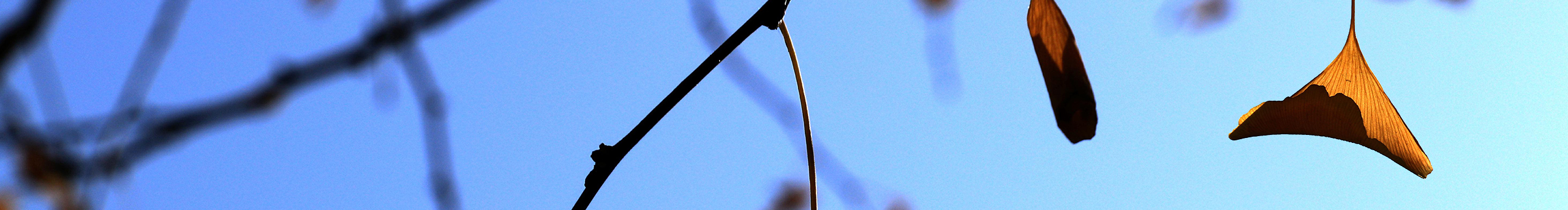 绮丽79的个人主页（封面预览） - 主页封面设置 - 站酷设计师绮丽79原创素材 - 站酷ZCOOL