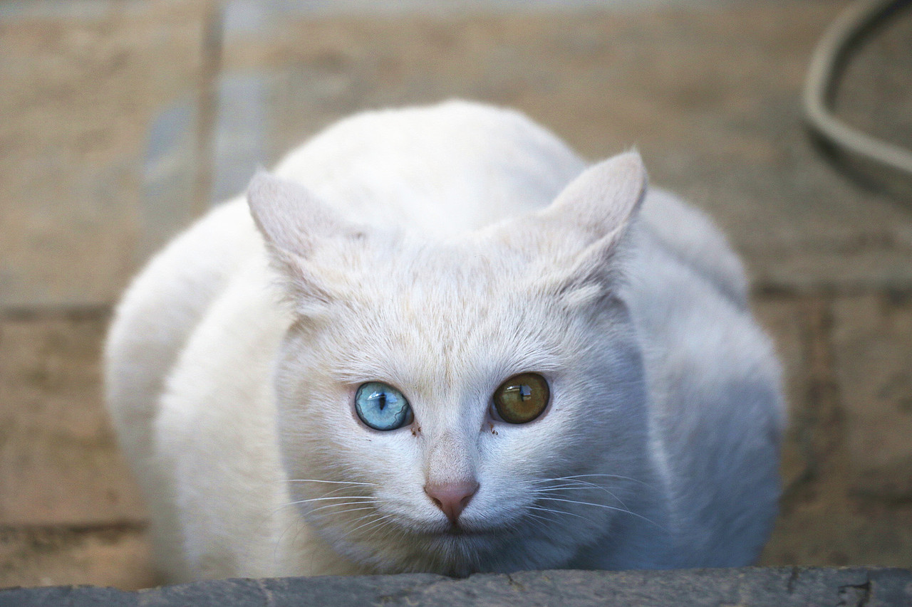 大理洱海-丽江-玉龙雪山-泸沽湖-昆明翠湖七日游（图ZMjI2NDIwODQ=） - 风光摄影 - 站酷设计师董搞搞原创素材 - 站酷ZCOOL