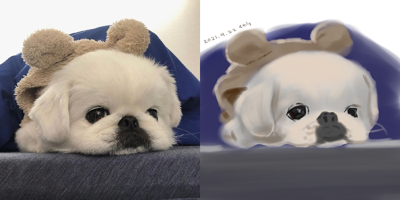 近两年板绘练习总结（野生插画师）