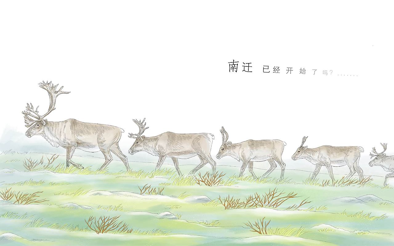 狼国故事（第三部）（图ZMjY0NzYzOTky） - 儿童插画 - 站酷设计师半毫米原创素材 - 站酷ZCOOL