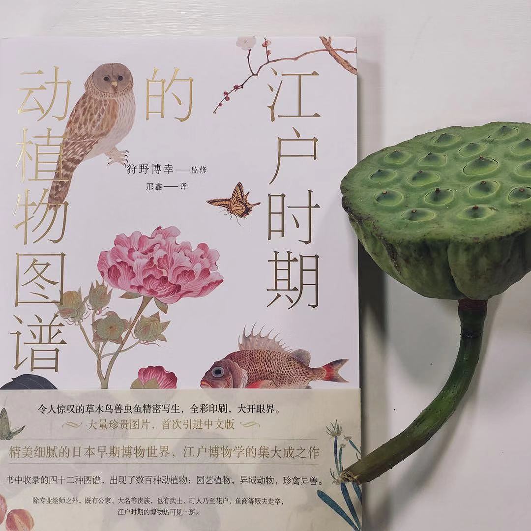 《江户时期的动植物图谱》装帧设计（图ZMTkyMjIxNDYw） - 书籍/画册 - 站酷设计师沉清Evechan原创素材 - 站酷ZCOOL