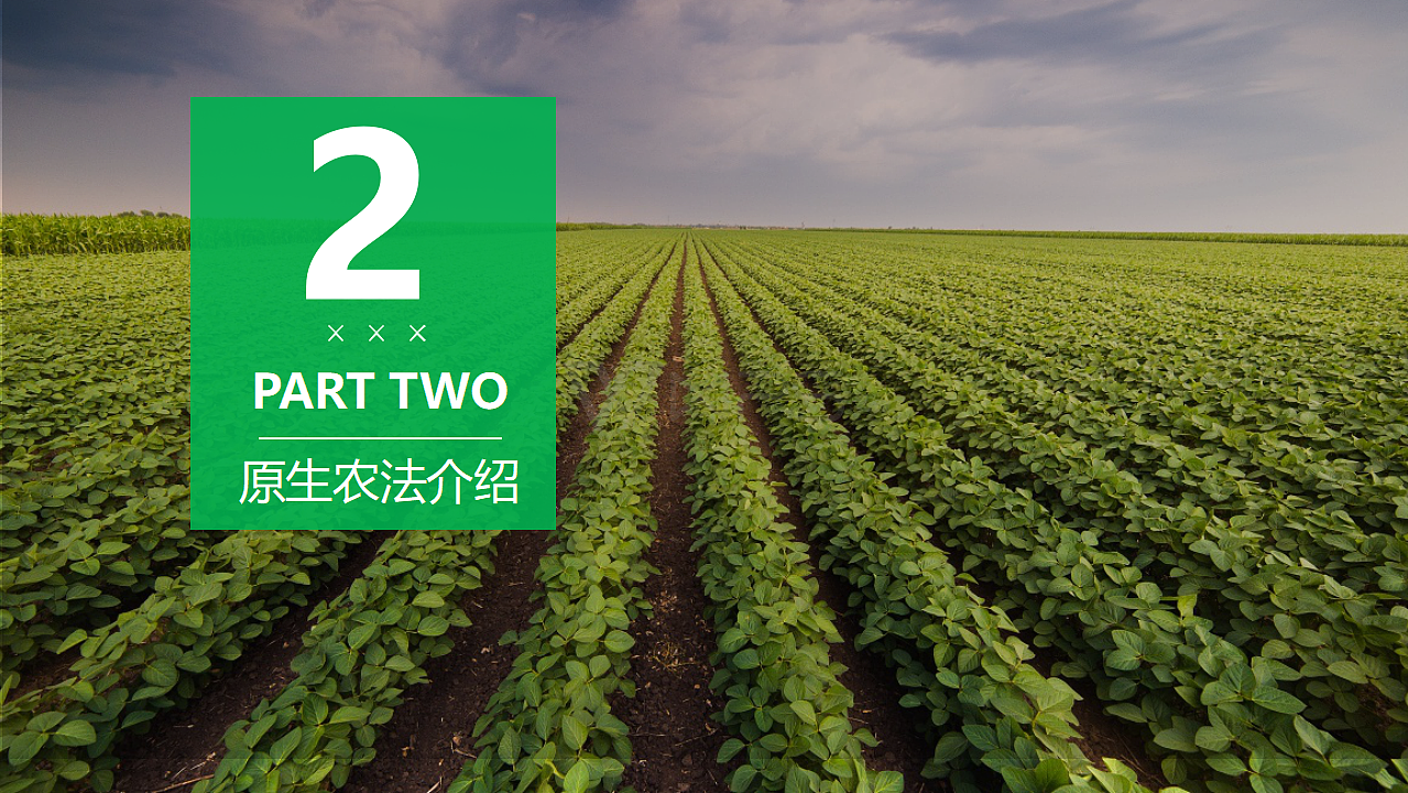 广东原生农业生物科技有限公司ppt（图ZMTE3MzEzODYw） - PPT/Keynote - 站酷设计师RexW一studio原创素材 - 站酷ZCOOL