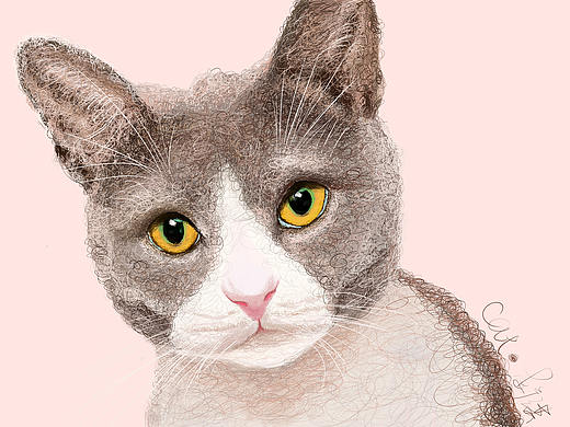 手绘-猫