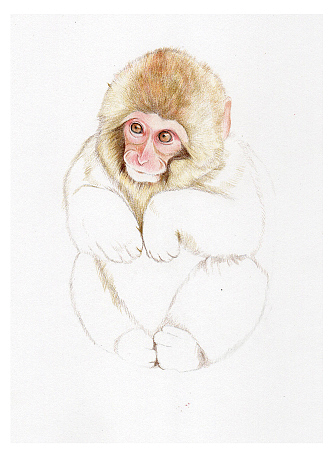 脸部画完后开始画头部。