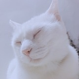 基东摄影师的头像