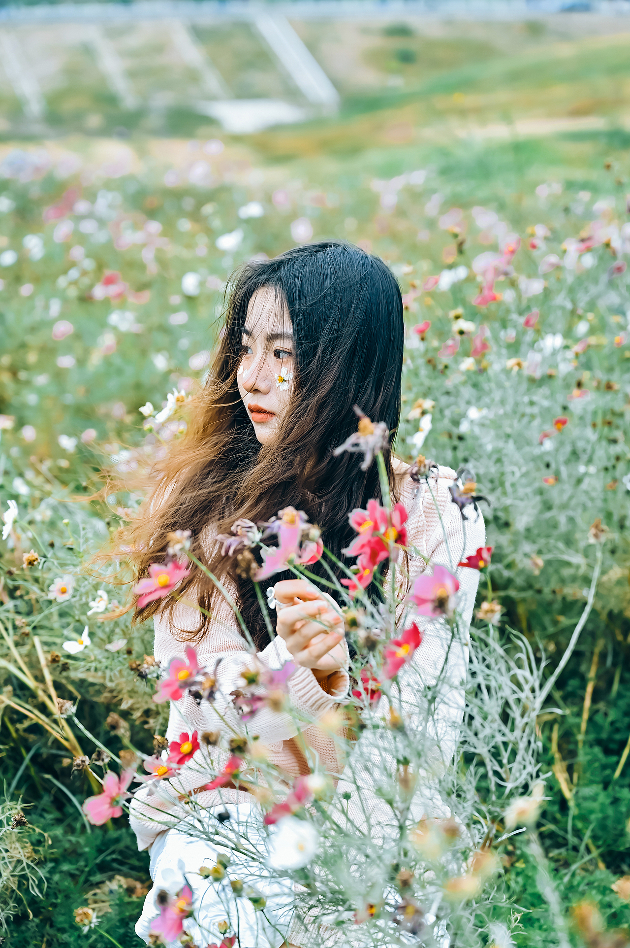 小仙女说:慢慢又漫漫,漫漫亦灿灿