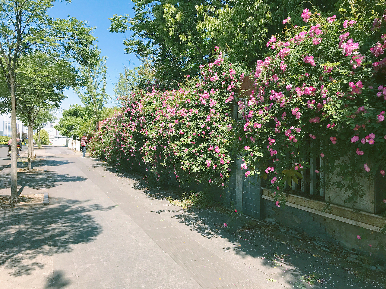 尘烟过，知多少…（图ZMTI2MDUzNzU2） - 人文/纪实摄影 - 站酷设计师微微的夏天原创素材 - 站酷ZCOOL