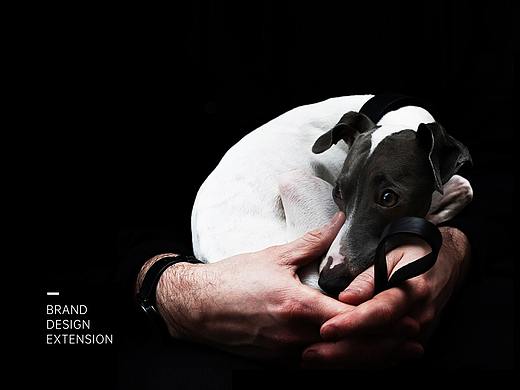 药业-利德尔品牌设计