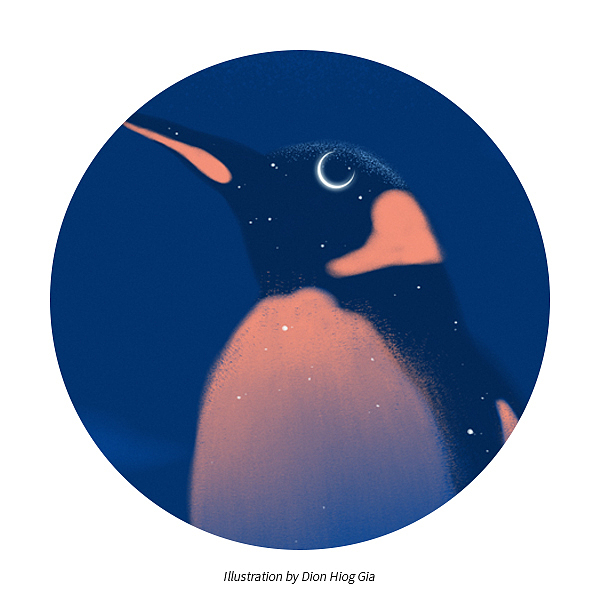 企鹅颈的霞光（图ZMTYyMjkzMjcy） - 创作习作 - 站酷设计师张旭加XujiaZhang原创素材 - 站酷ZCOOL