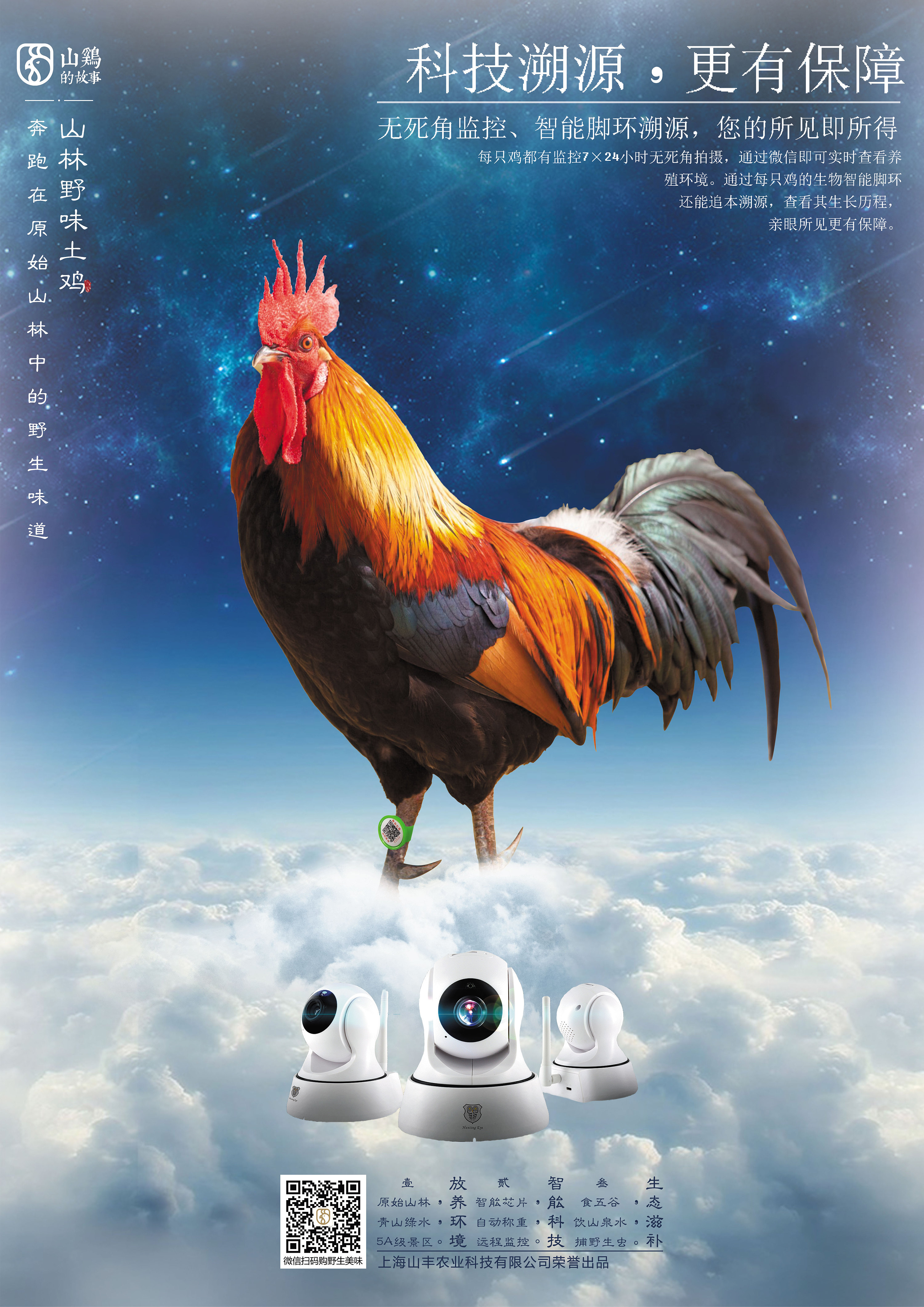 山鸡的故事-宣传海报
