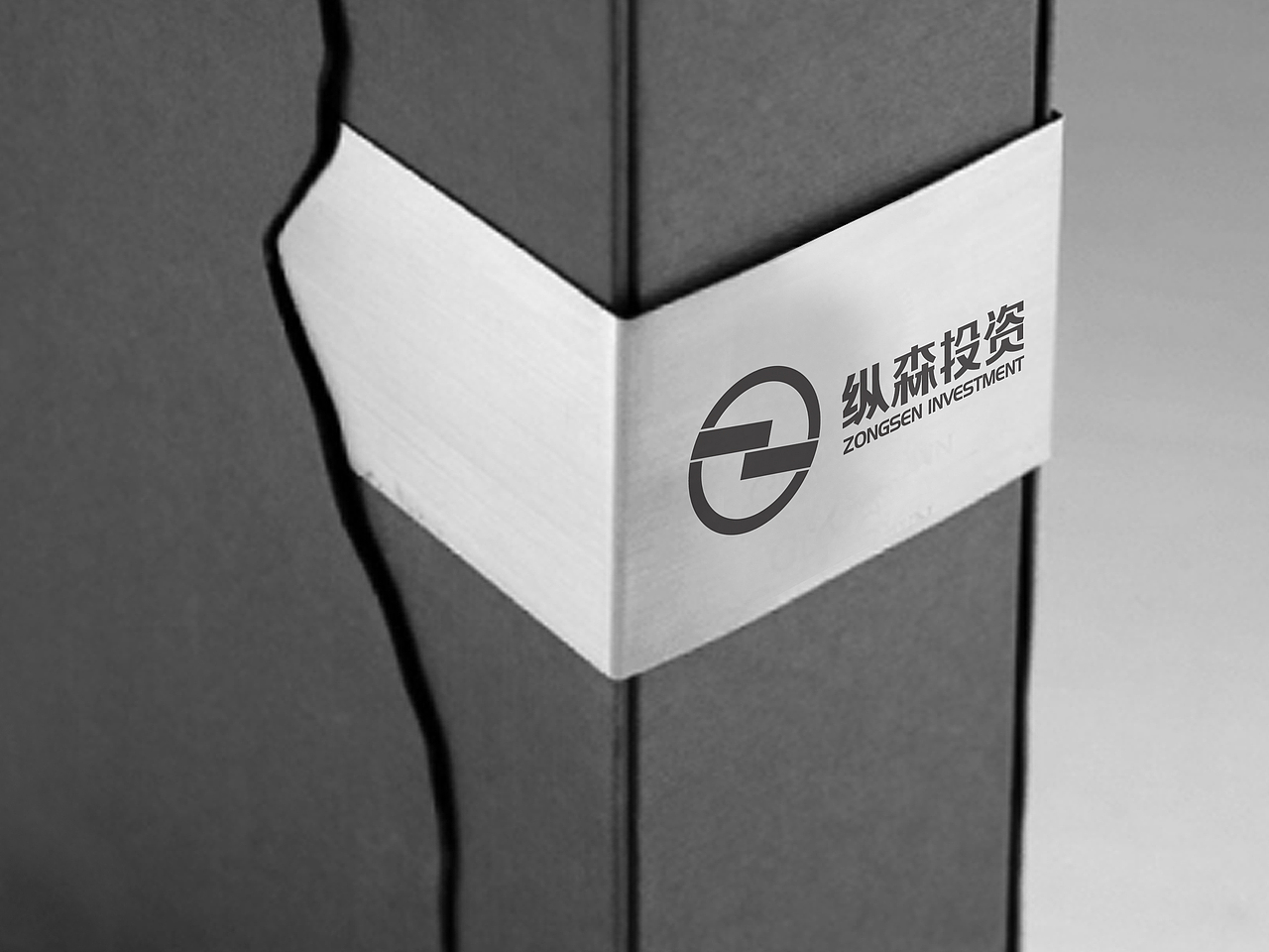纵森投资（图ZMTkwMjYxOTY=） - 品牌 - 站酷设计师704548558原创素材 - 站酷ZCOOL