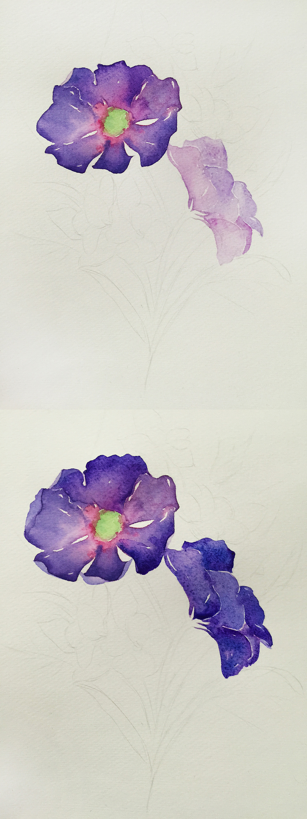 三木花草（小過程）（圖ZNDUxMzg0NTI=） - 商業(yè)插畫 - 站酷設(shè)計師吳都Jasmine原創(chuàng)素材 - 站酷ZCOOL