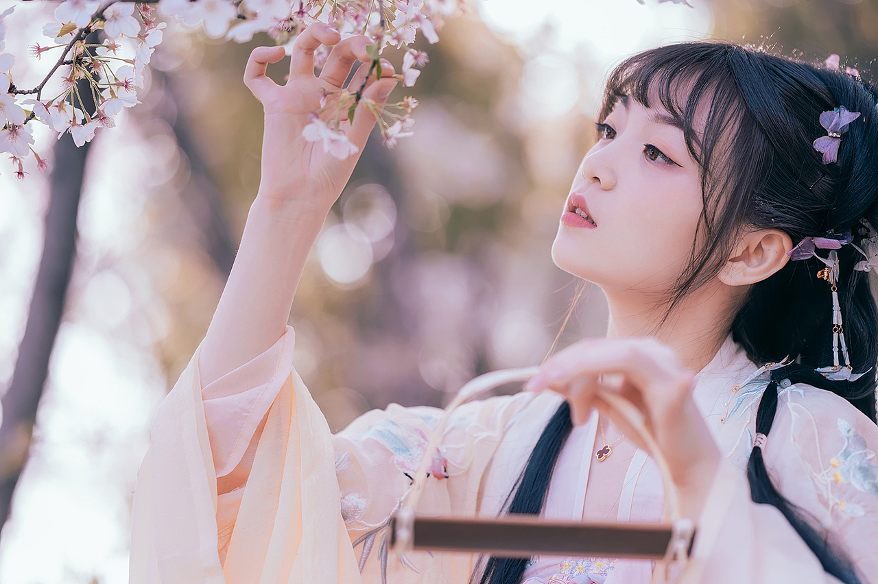 樱花落（图ZMjA0MzMxNjky） - 人像摄影 - 站酷设计师拍照的青山原创素材 - 站酷ZCOOL