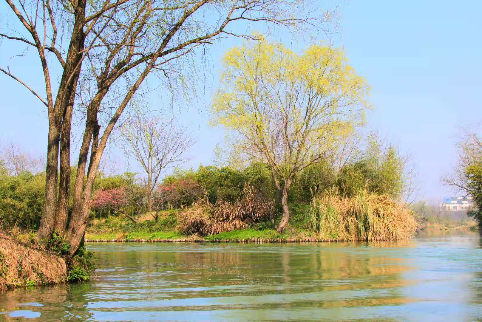 凌凌柒_柒的個(gè)人主頁(yè)（背景預(yù)覽） - 主頁(yè)背景設(shè)置 - 站酷設(shè)計(jì)師凌凌柒_柒原創(chuàng)素材 - 站酷ZCOOL