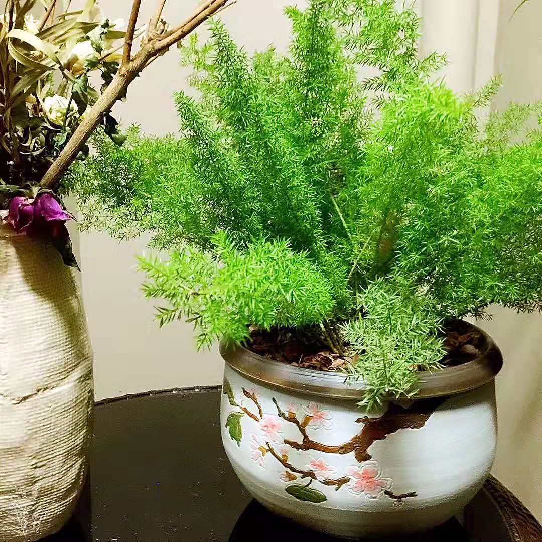 四时茶空间 成型图