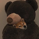 及时行乐诶的头像