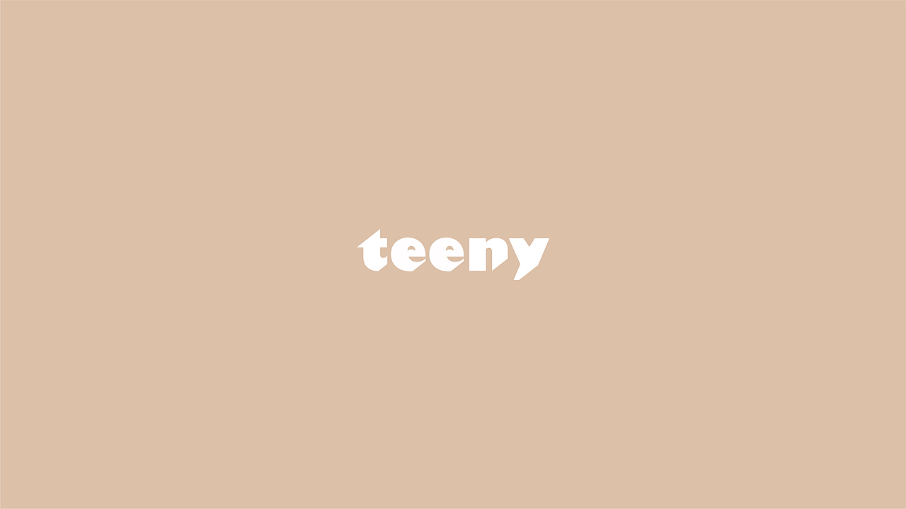 流行服饰品牌--TEENY