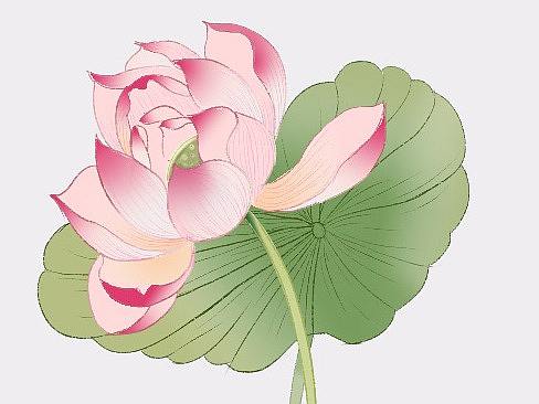 插画学习之小练习（个人主页-ZNDIzNTMwMjQ=） - 创作习作 - 站酷设计师风之画原创素材 - 站酷ZCOOL