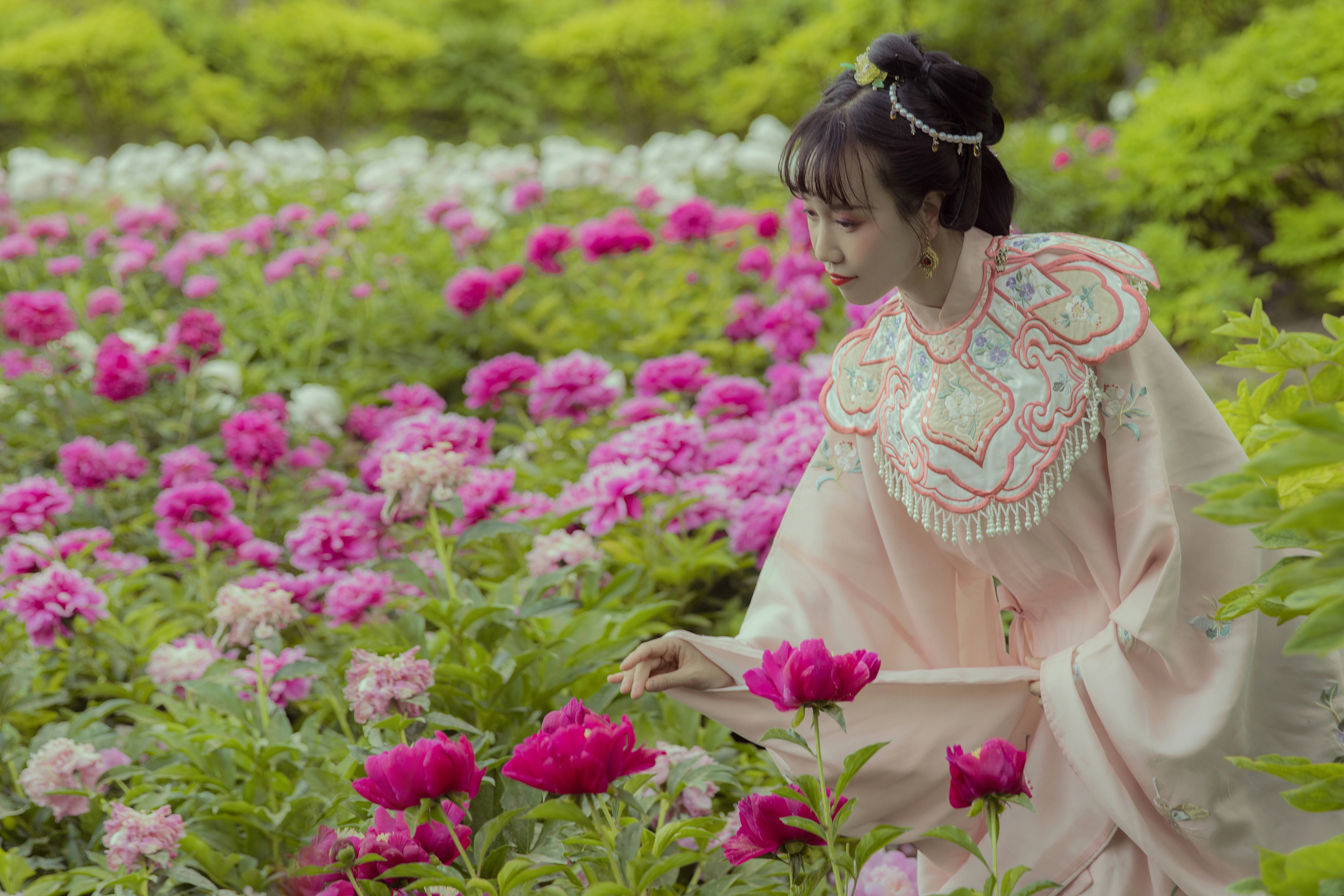 景山公园/汉服/芍药|摄影|人像摄影|何辰摄影 - 原创作品 - 站酷