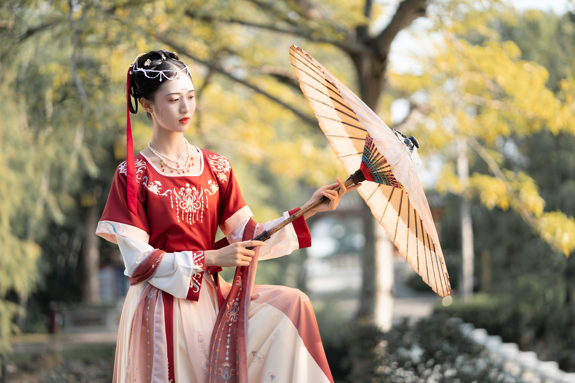 惠州丰诸园汉服 坦领 古风汉服