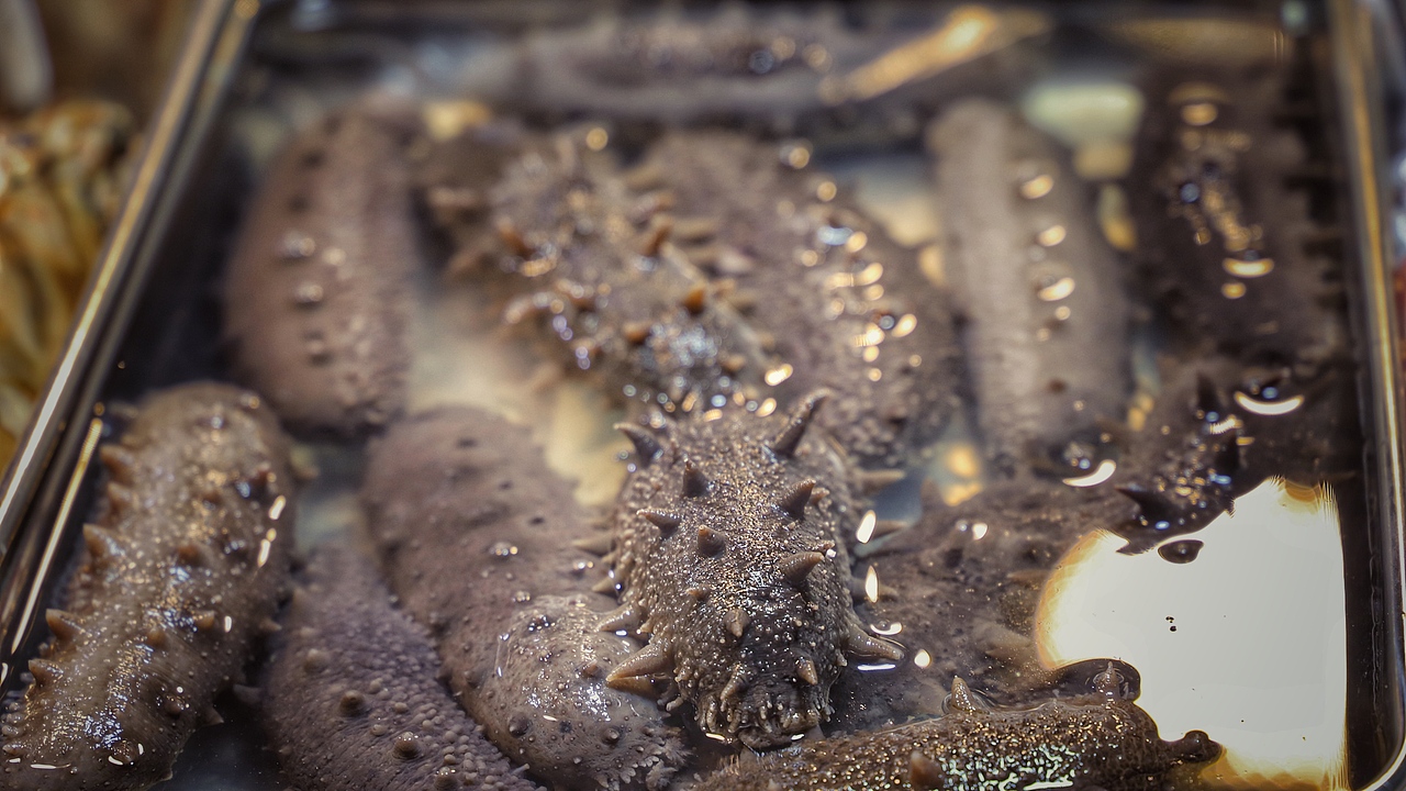 三元里菜市场（图ZMTQ1Mjc3OTYw） - 人文/纪实摄影 - 站酷设计师视觉张张原创素材 - 站酷ZCOOL