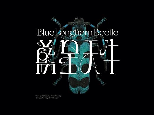 Logotype&Logo 標準字&商標合集