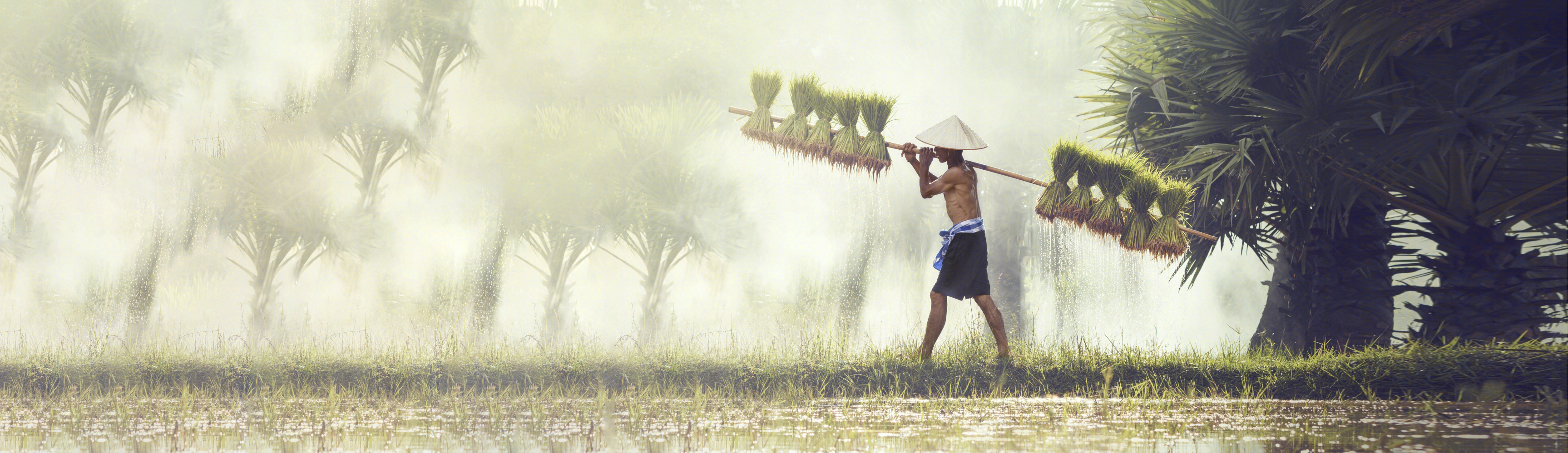 Ai夢(mèng)工廠1的個(gè)人主頁（封面預(yù)覽） - 主頁封面設(shè)置 - 站酷設(shè)計(jì)師Ai夢(mèng)工廠1原創(chuàng)素材 - 站酷ZCOOL