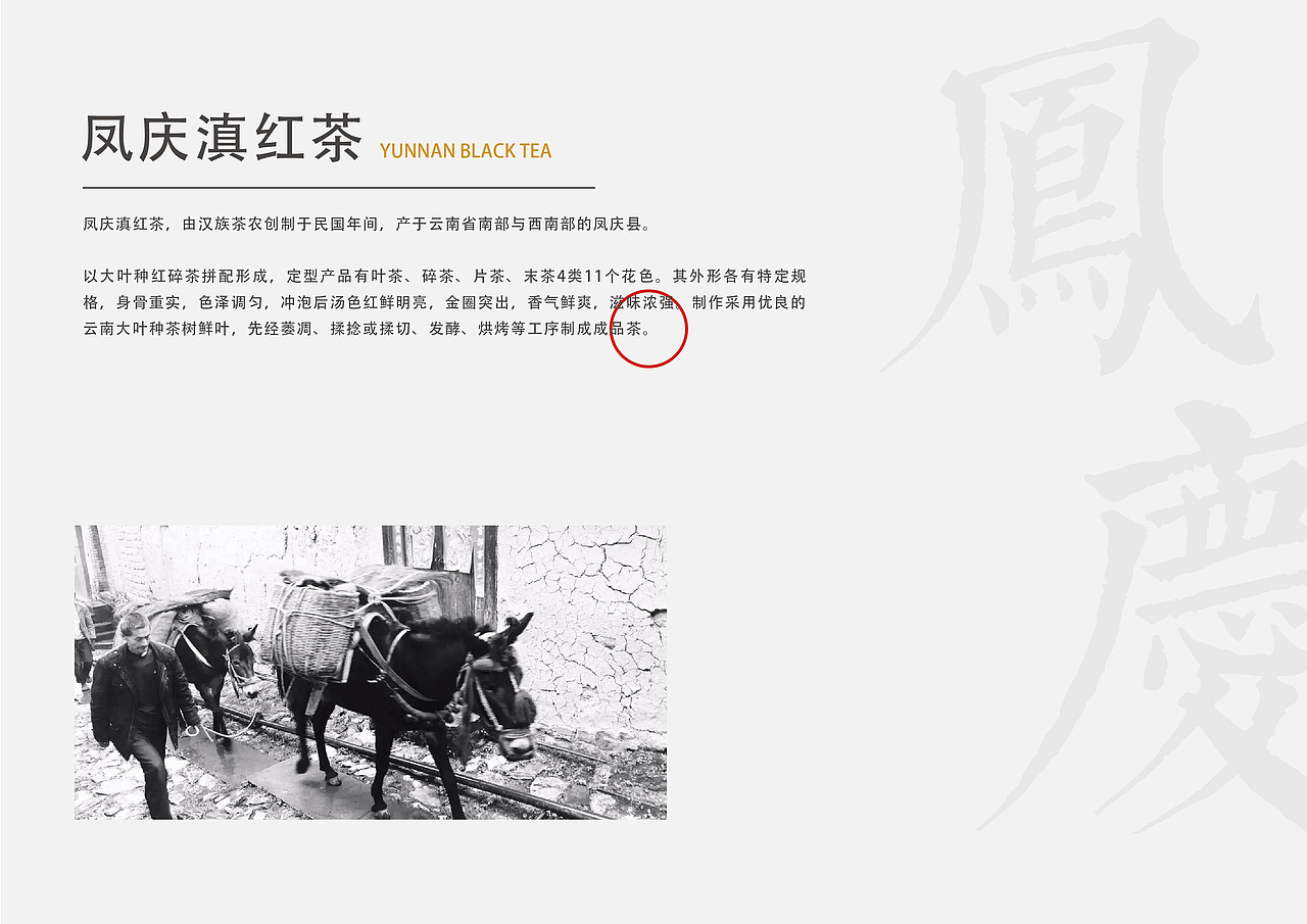 熙家红韵  茶与文化艺术的邂逅