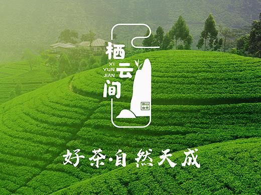 贵州 茶叶logo