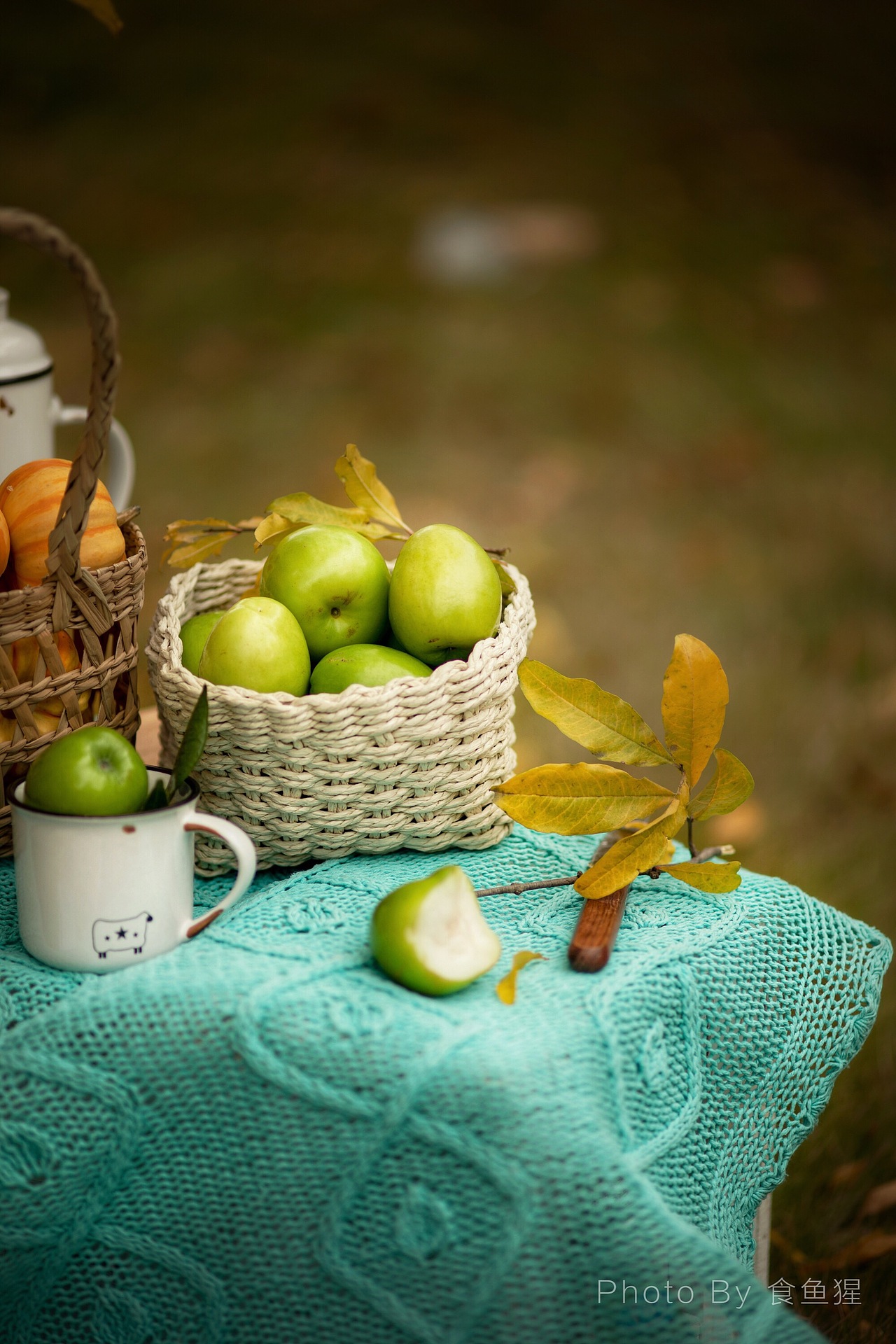 秋天的尾巴，户外，色彩（图ZMTM1NDU5OTc2） - 产品摄影 - 站酷设计师食鱼猩原创素材 - 站酷ZCOOL