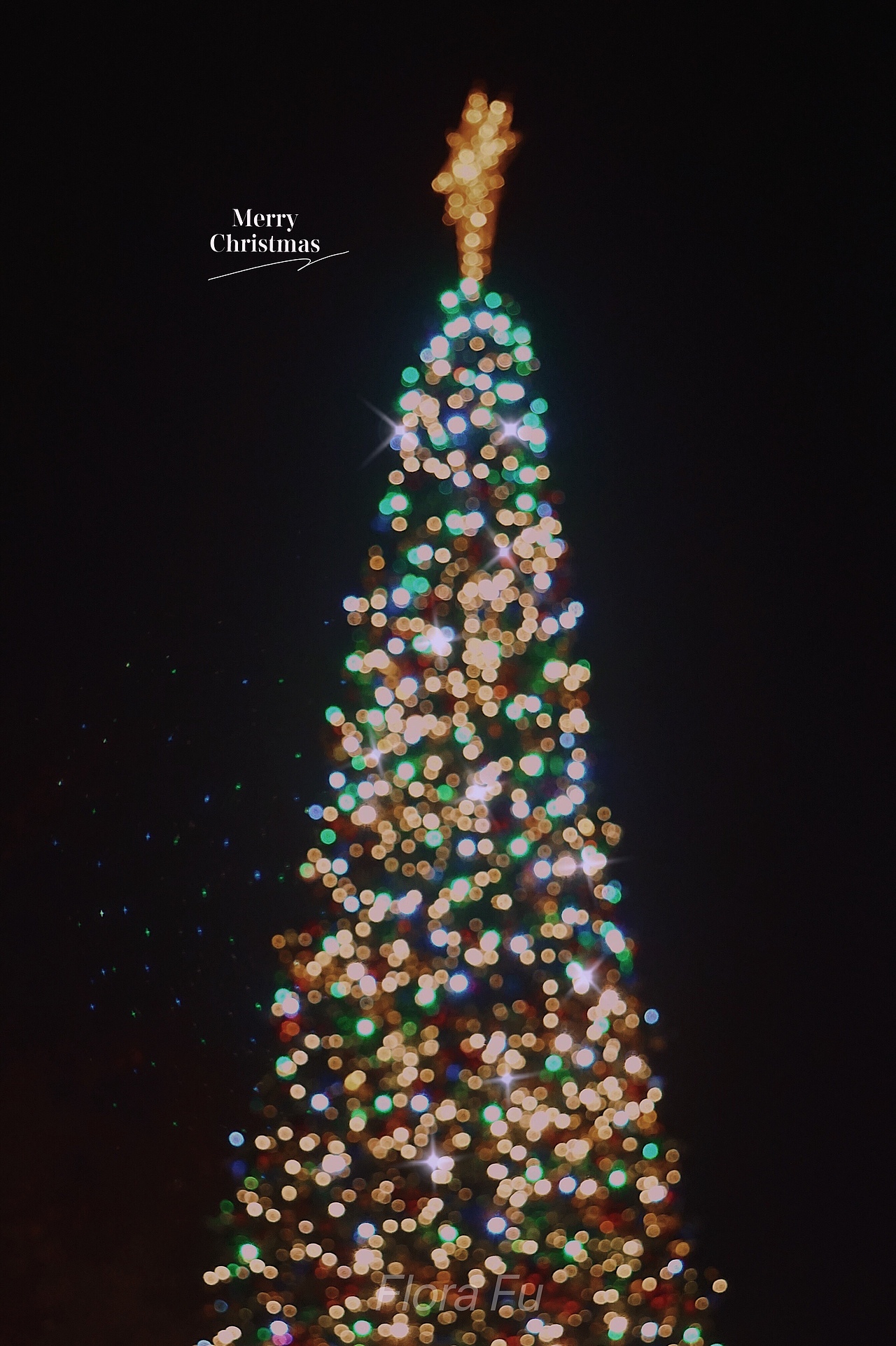 上海迪士尼 圣诞