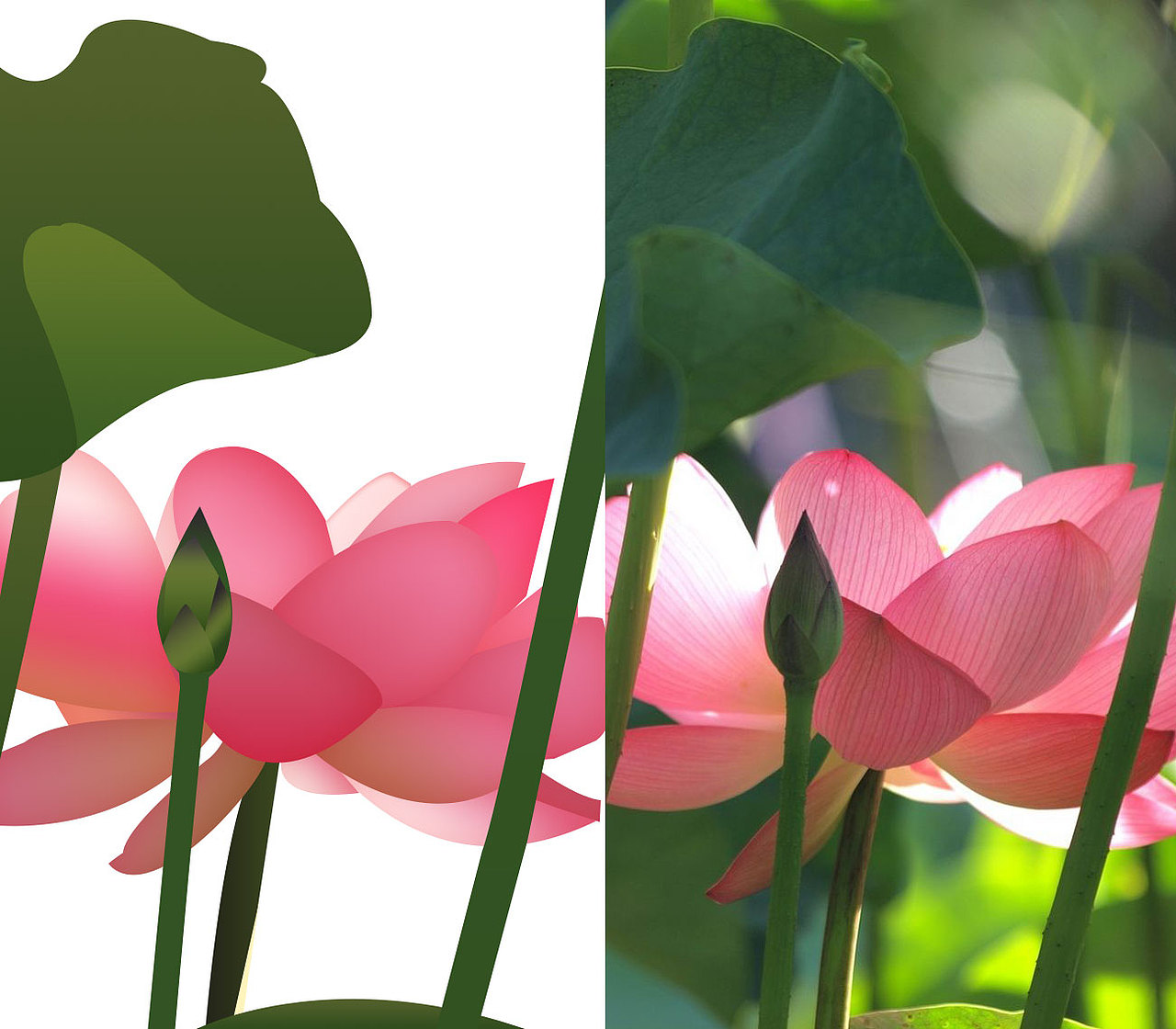 照片转插画（图ZOTI4NDc5ODg=） - 创作习作 - 站酷设计师Demon积木原创素材 - 站酷ZCOOL