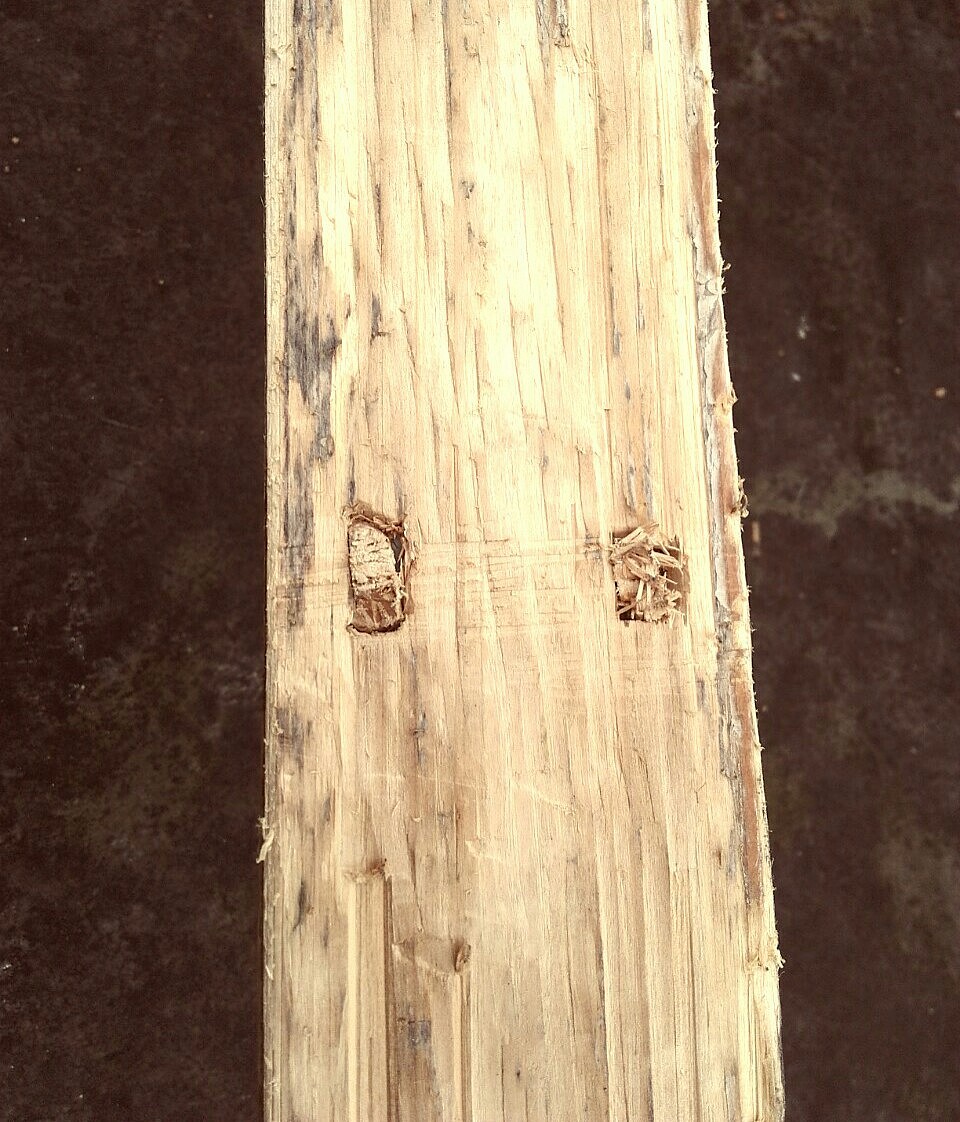 全部工艺没有用螺钉,用木结构固定,因为无全套木工工具,做工还是很粗糙,如果还不够牢固,可在两桌腿间加横木固定,或者做个小木块塞进凳面与桌腿固定洞中
<br>